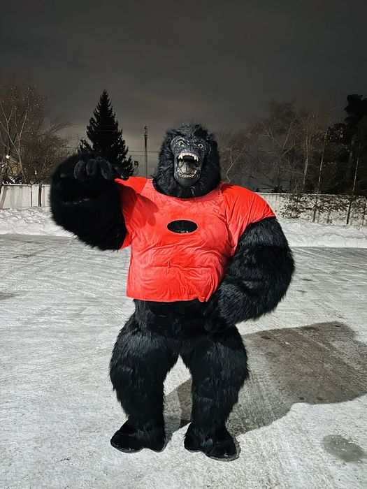 Мишка ТЕДДИ аренда 7000 тг