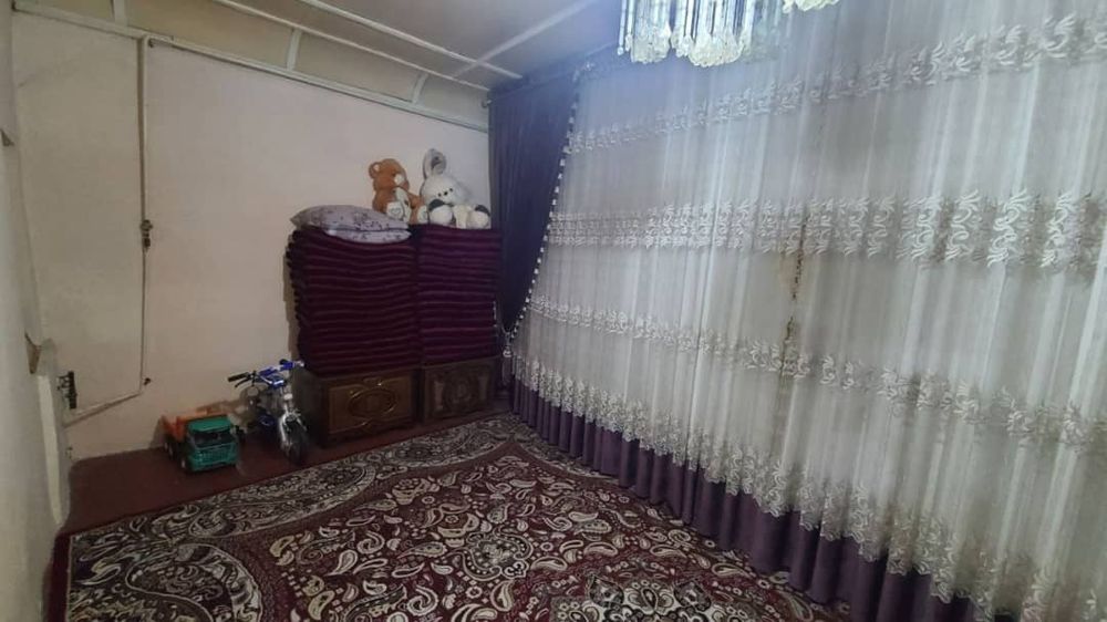 Хама шароити бор