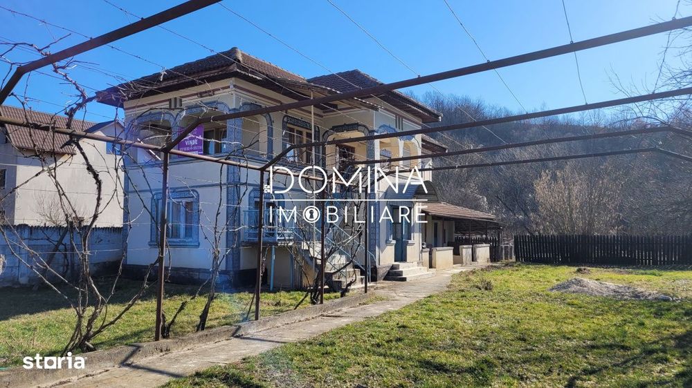 Vanzare casa D+P+1,  situata in comuna Capreni, sat Bulbuceni