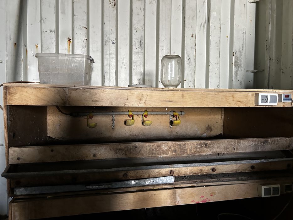 Продам БРУДЕР для цыплят