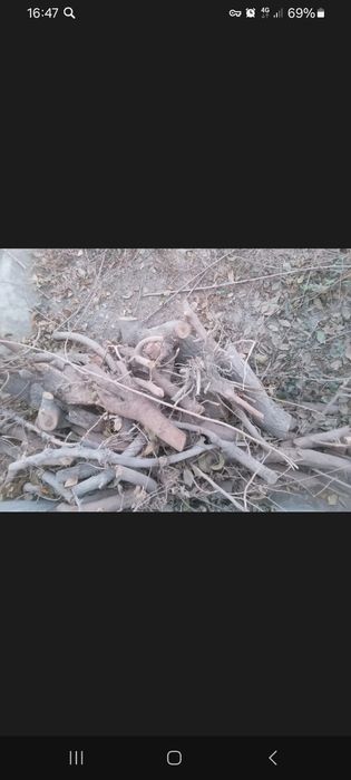 O'tin sotiladi. Tut daraxti.Narhini kelishamiz.