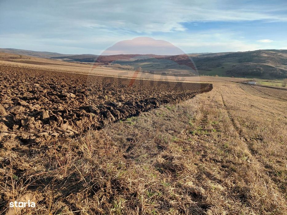 Teren 7,200mp Secuieni / DN Principala