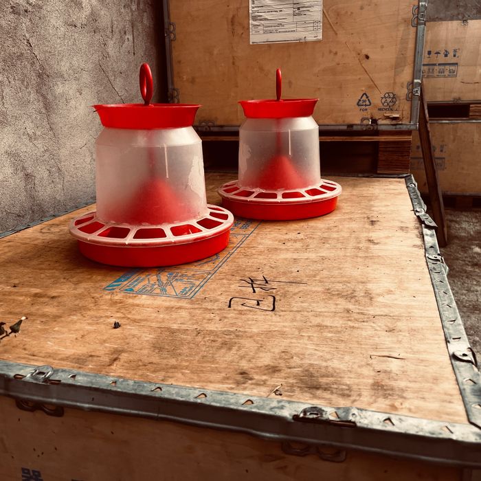 Кормушки для птиц