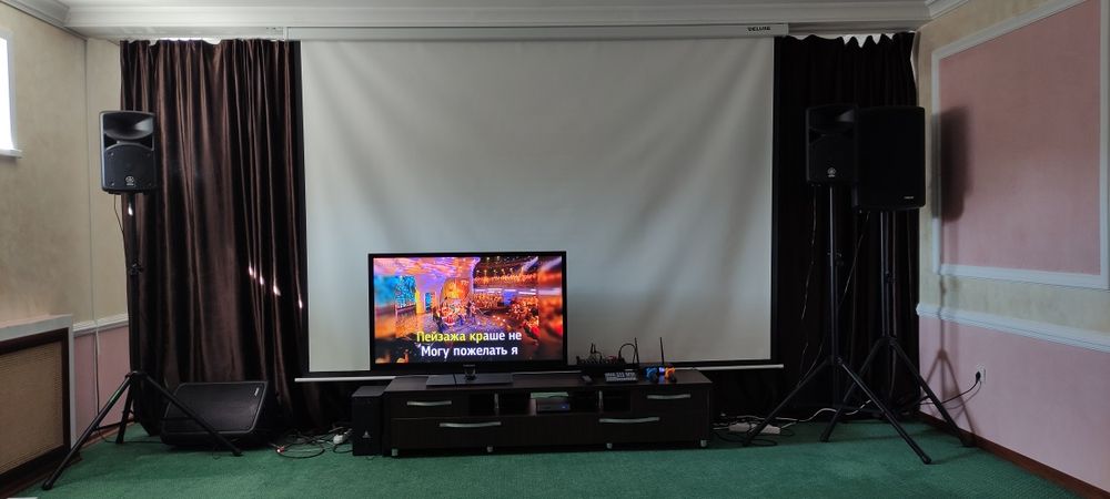 Караоке аренда прокат prof EVOLUTION и AST