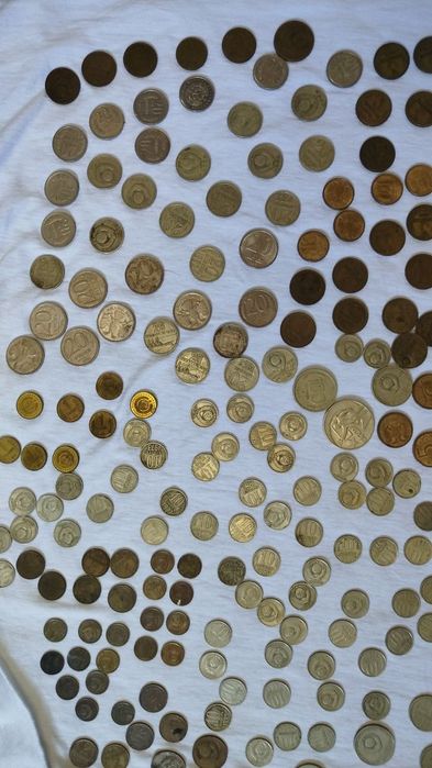 Samaradagi jinsiy sherik