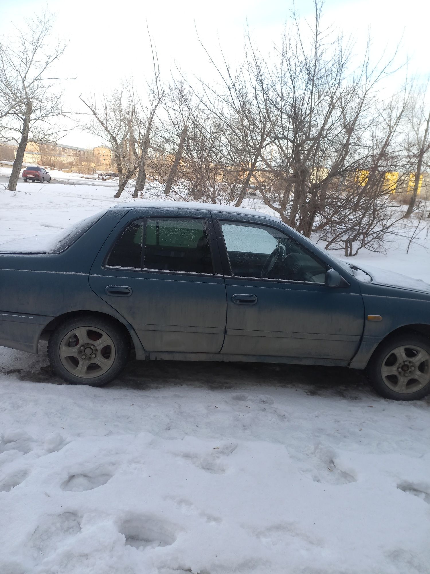 Nissan Sunny Семей цена: купить Ниссан Sunny новые и бу. Продажа авто с  фото на OLX Семей