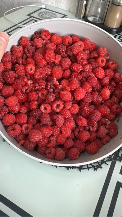 Продам дачу ПК Спутник