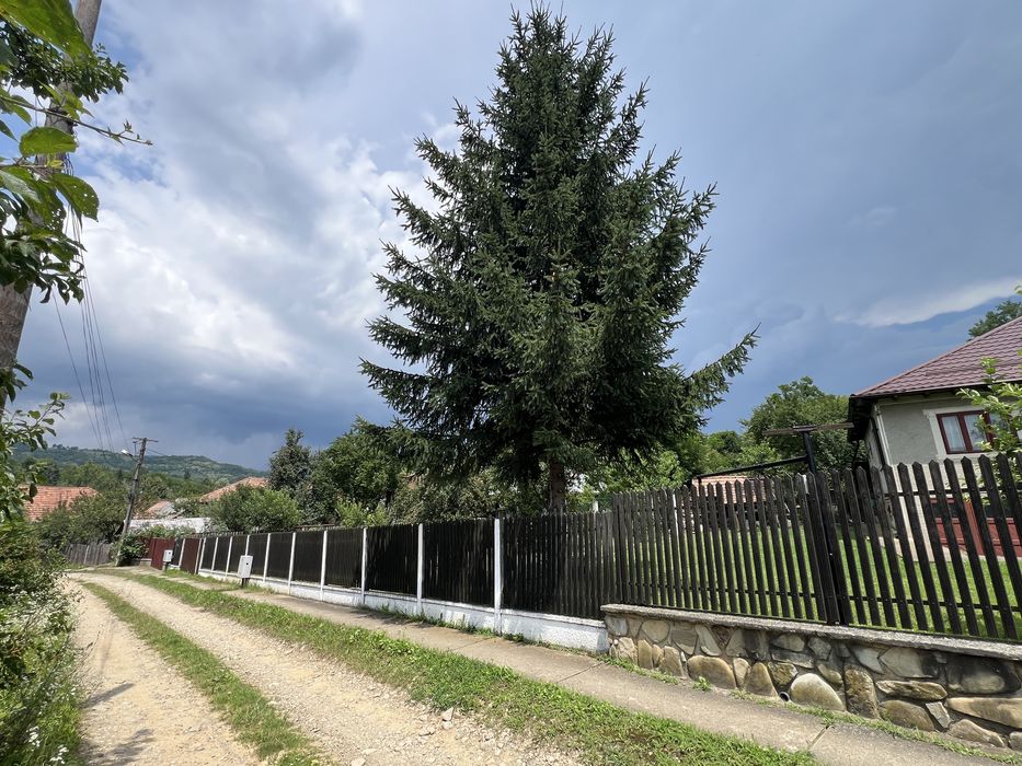 Teren intravilan Slanic Prahova 300mp