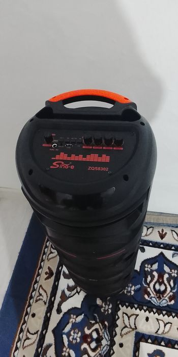 Колонка микрофоном