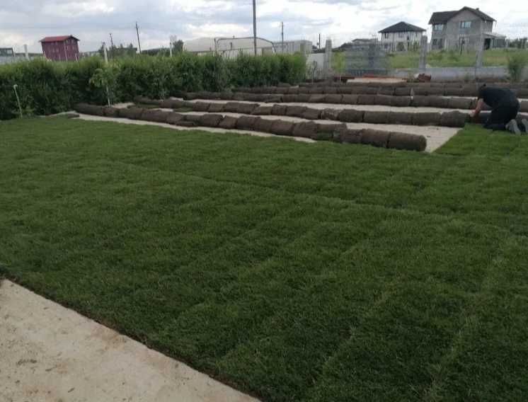 Gazon Rulou Calitate extra