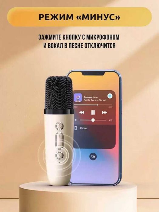 Колонка-караоке с микрофоном