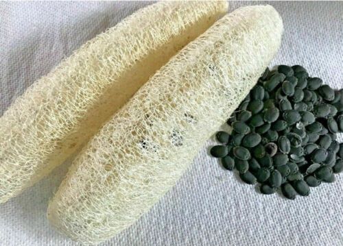 Мочалка Люффа экологически чистый продукт