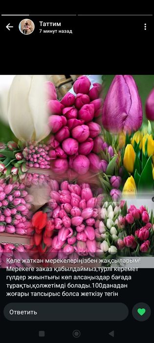 Тюльпаны оптом и в розн. От 440