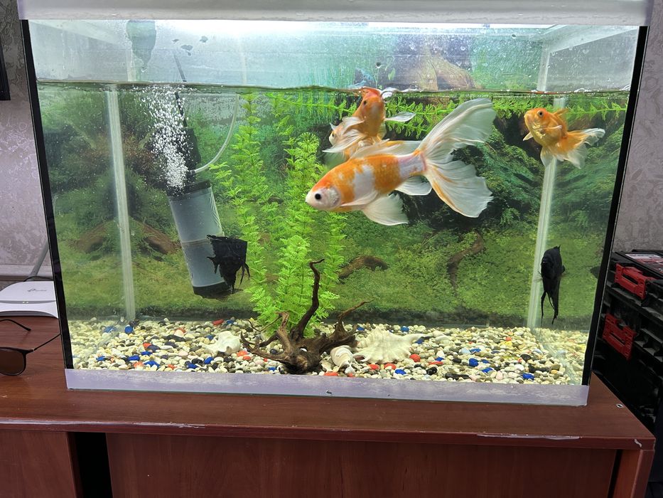 Продам аквариум 103 л с рыбками