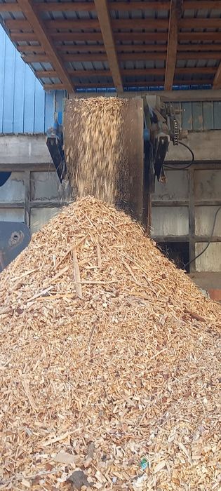 Tocătura lemn ,cuburi ,deșeuri si inima din fag si brad.