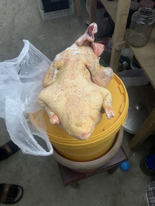 Продам тушу утки по 3400