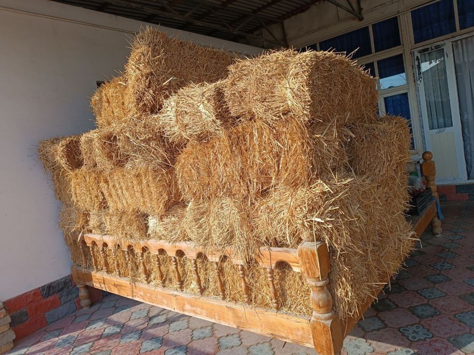 Самон прес сотилади