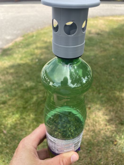 Capcana pentru viespi