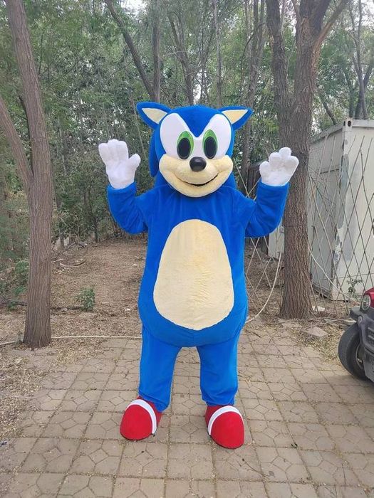 Mascote delux adult Sonic ariciul desene animate