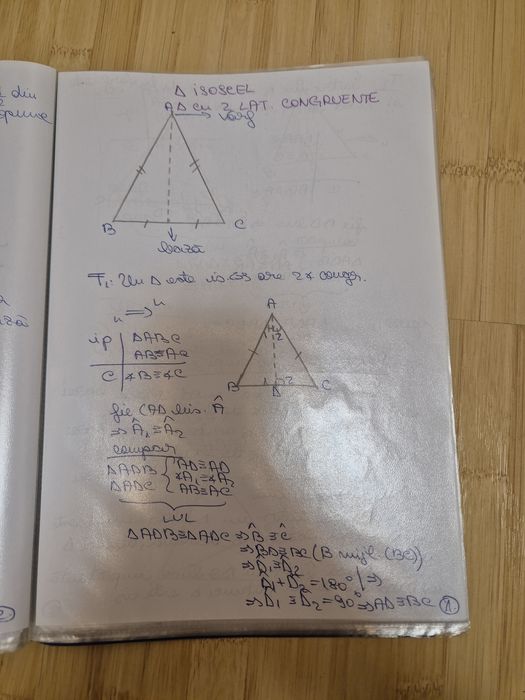 Pachet promoțional - 2 portofolii matematică