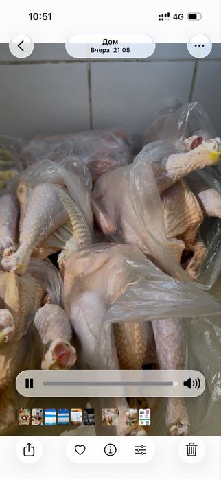 Продам петушков
