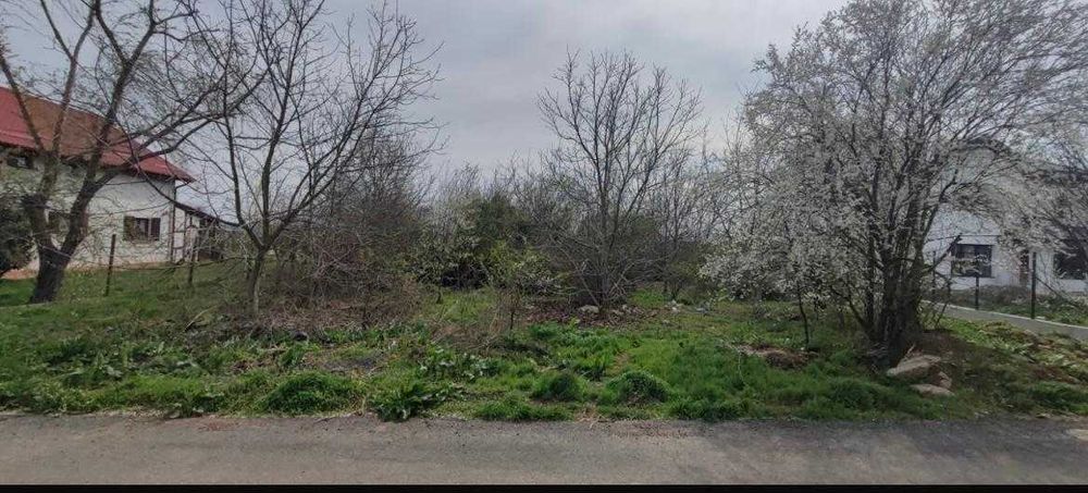 Teren intravilan Caciulați, Moara Vlasiei, Ilfov