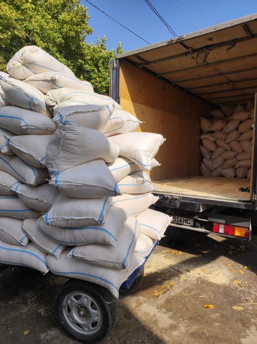 Опилка Апилка есть мелкий крупный 25000