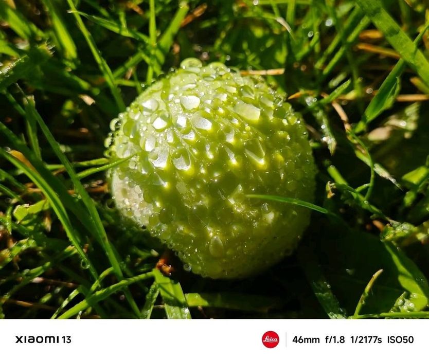 Xiaomi 13 12/256 Global