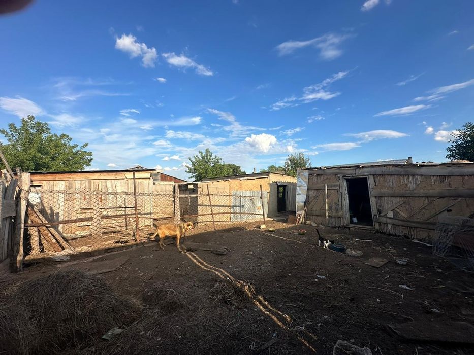 Үлкен Шаған ауылынан үй сатылады.