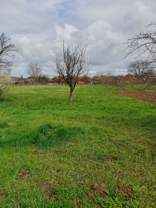 Vând casă cu etaj în comuna Mihai Viteazu lângă Turda jud.Cluj
