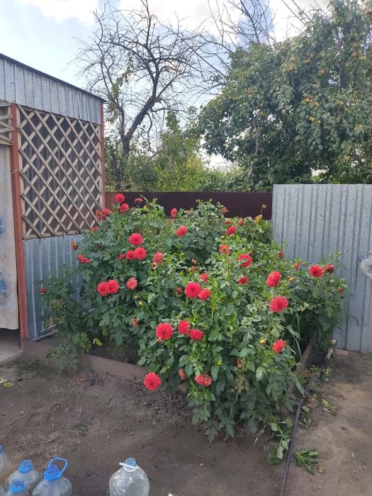 Дача на федоровке