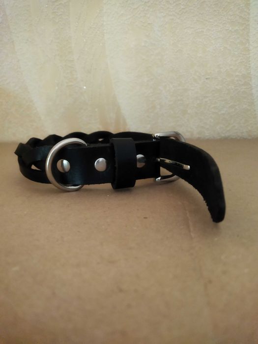 Ошейник для собак