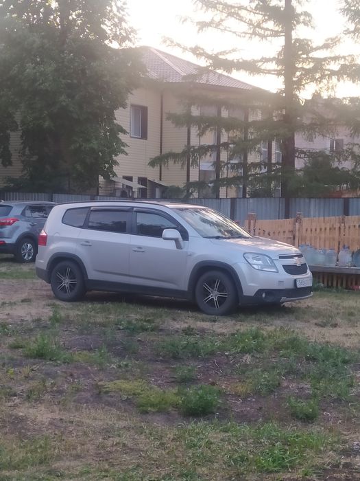 Продам достойного Орландо