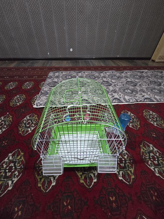 Продам горшки с клеткой
