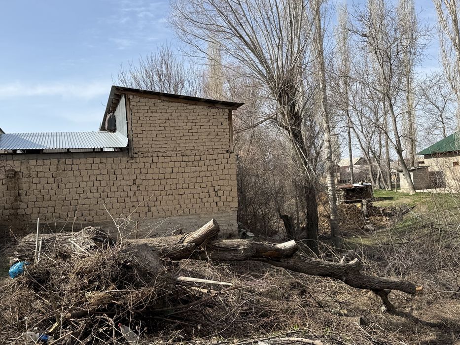 Жаңғақ орех сатам