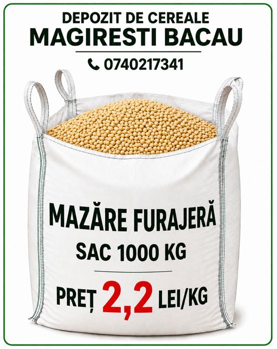 Porumb grau mazare floare
