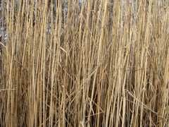 УРАГАН Форте, ВР 500