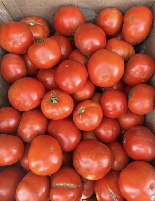 Rosii min 1000kg