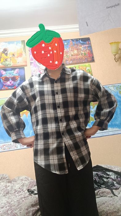 Две клетчатые рубашки