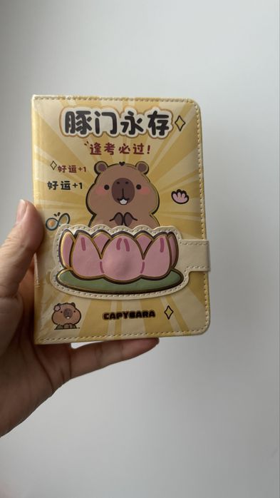 Капибара, куроми-мелоди, спрунки, творческая бумага, румбоксы