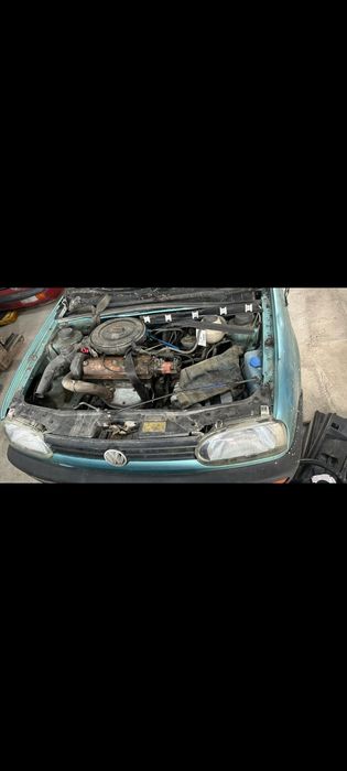 Привазной молдалар