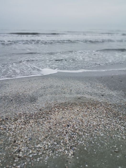 Curățenie  Rapidă și calitativă  după turiști