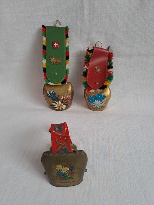 talanga elvetiana  24 cm curea