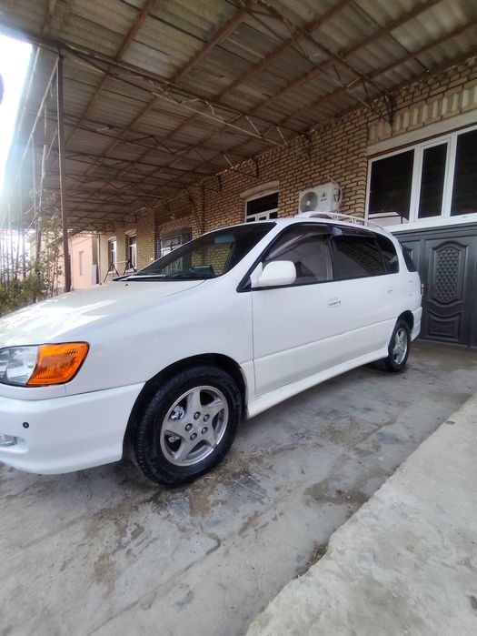 Tayota ipsum sotiladi