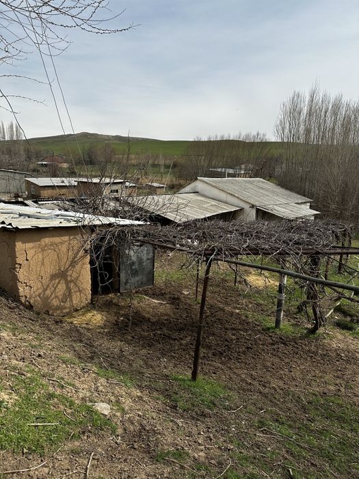 4 xona yashash uchun 4 xona tovuq juja va bol qoy boqsa buladigan joy