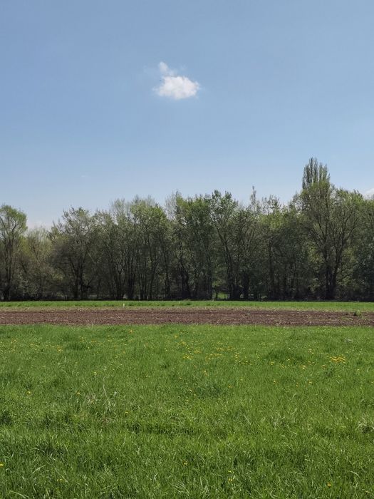 Продам участок в Каскелене. Рассрочка