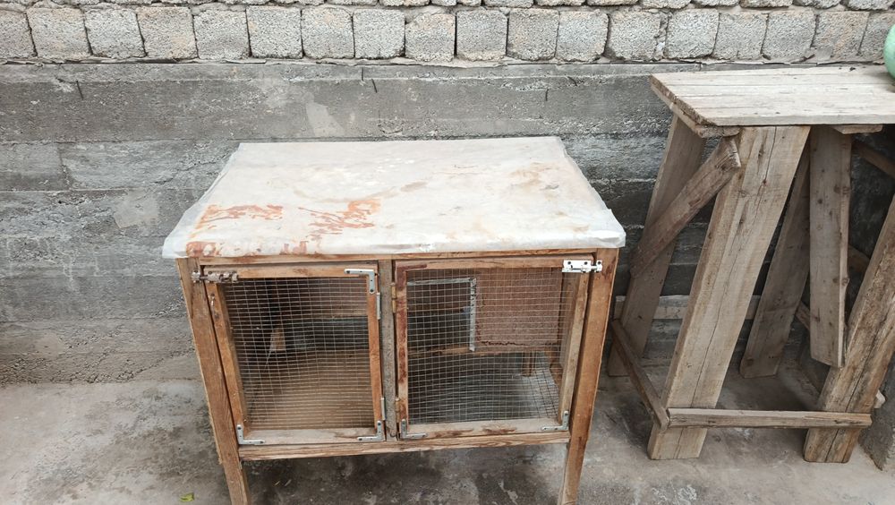 Quyon ini qafas tegi setkali