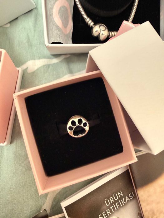 Гривна и талисмани Pandora