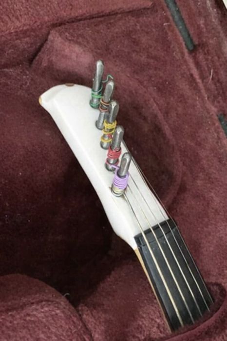 Vioara zeta berkeley