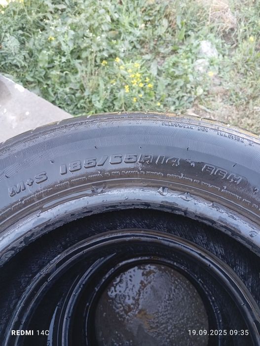 Автошина арзони 14/65/185